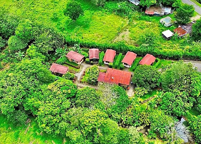 Zompopa Guayabo (Guanacaste)