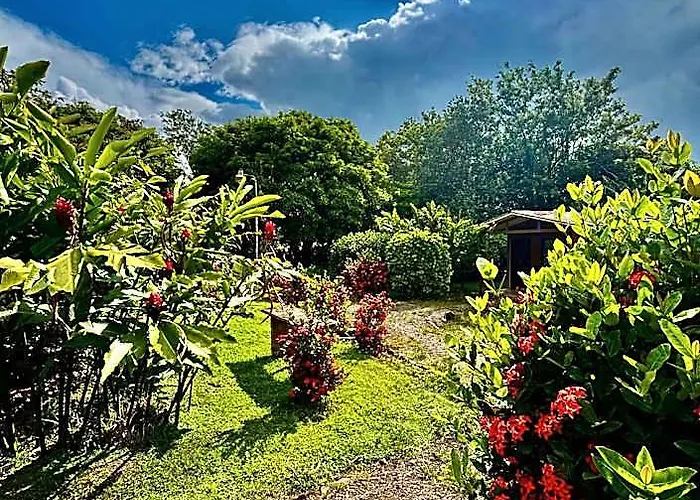 Zompopa Hotel Guayabo (Guanacaste)