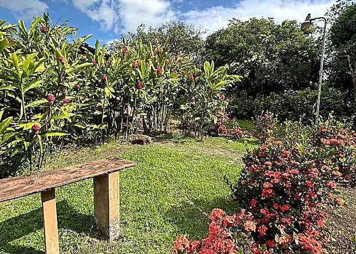 Zompopa * Guayabo (Guanacaste)
